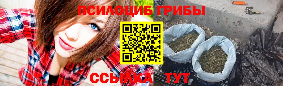 Дятьково  Галлюциногенные грибы мухоморы  Вход с VPN 